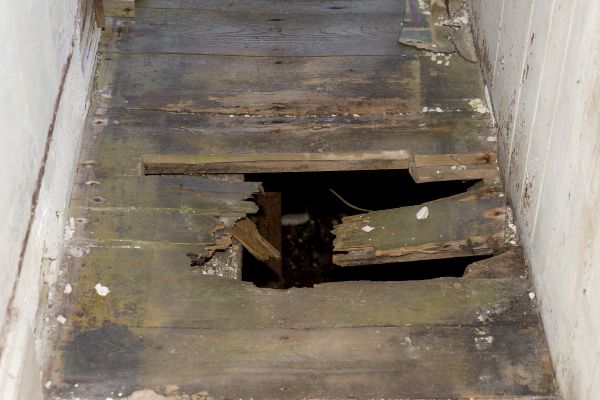 Dry Rot Repair