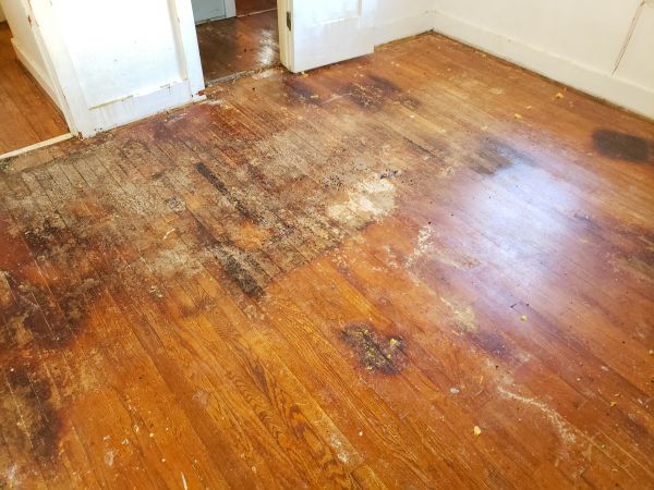 Wood Floor Damage Repair