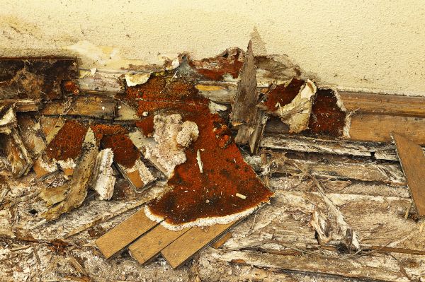 Rotted Floor Reconstruction